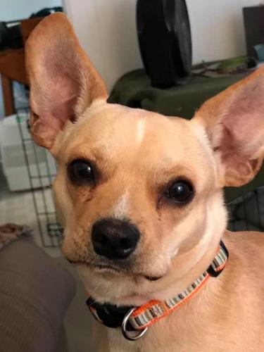 21:27:47 GMT-0500 (EST).image