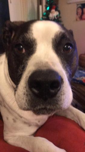 00:53:42 GMT-0800 (PST).image