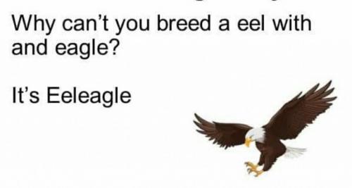 14:48:51 GMT-0500 (EST)