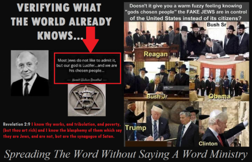 141332207_425751858734437_6706828097999888155_n