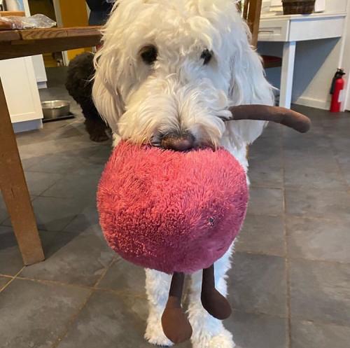 13:16:57 GMT+0100 (WAT).image