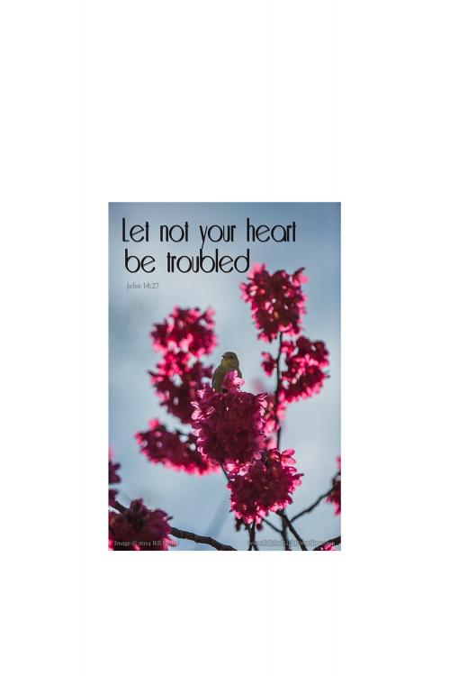 09:39:19 GMT-0800 (PST).image