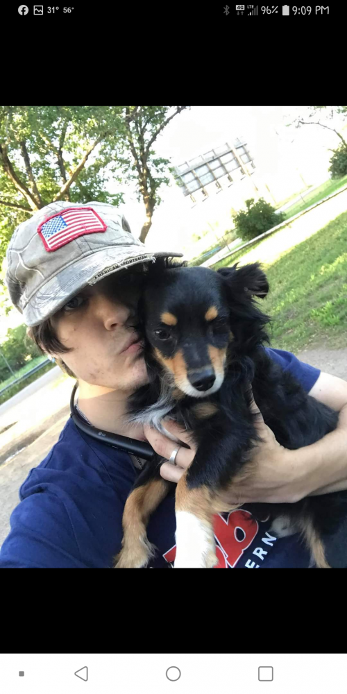 19:05:56 GMT-0600 (CST).png