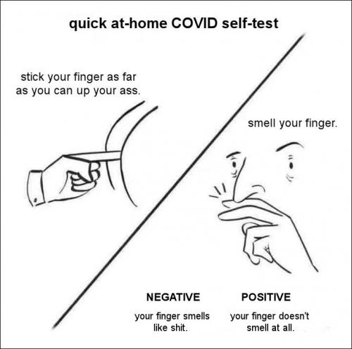 anal test00