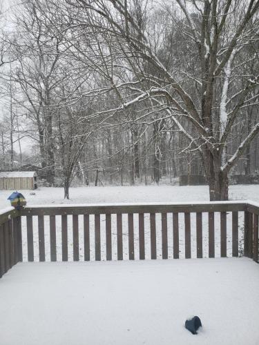 14:43:06 GMT-0600 (CST)