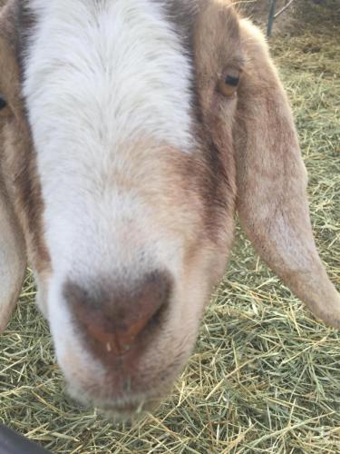 08:22:54 GMT-0800 (PST).image