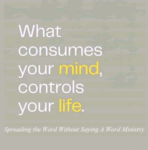 141992228_175897874316650_205371773830955064_n