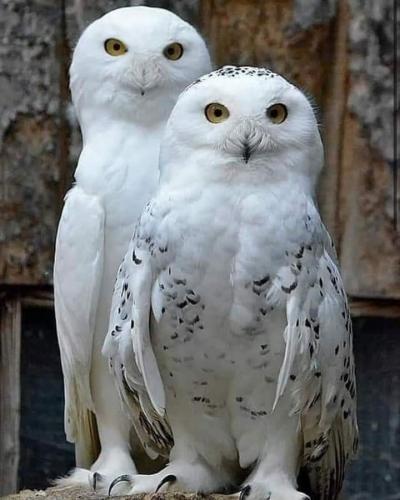 10:55:54 GMT-0600 (CST)