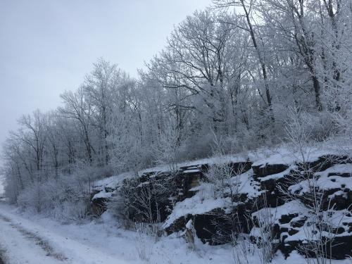 07:06:25 GMT-0600 (CST).image