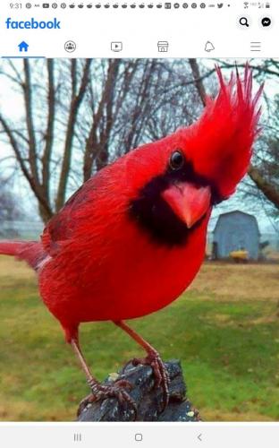 08:50:14 GMT-0500 (EST)