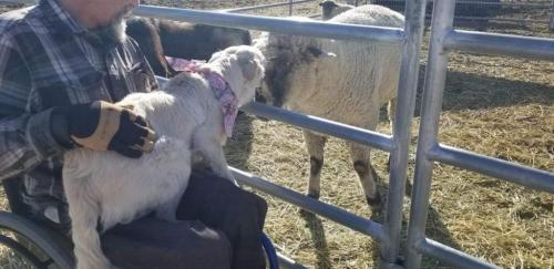 07:56:24 GMT-0800 (PST).image