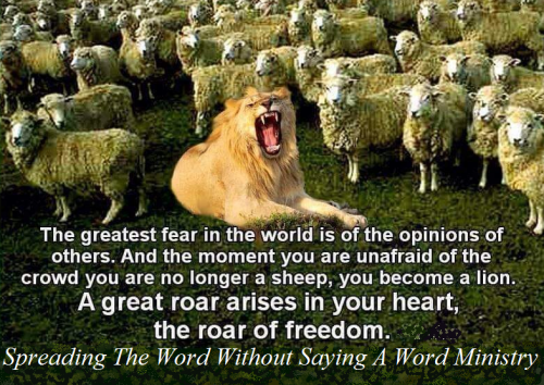 142494539_419300362650425_6490279147345841406_n