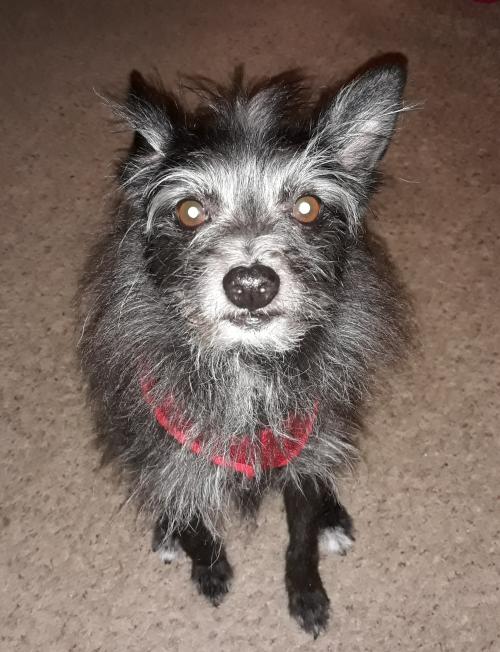 04:41:04 GMT-0500 (EST)