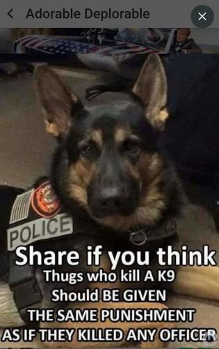 10:13:41 GMT-0600 (CST)