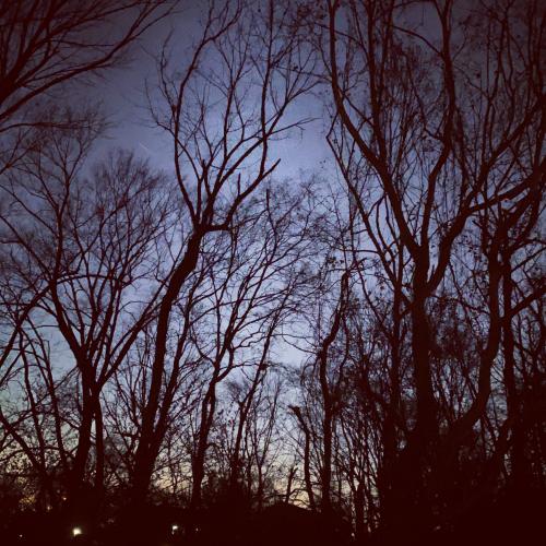 23:02:29 GMT-0600 (CST).image