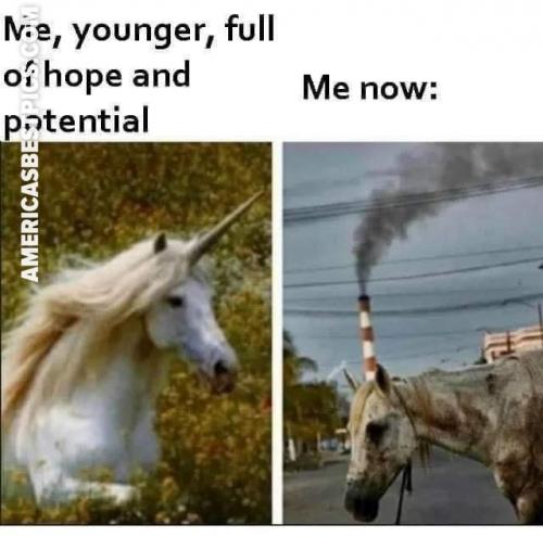 19:06:50 GMT-0500 (EST)