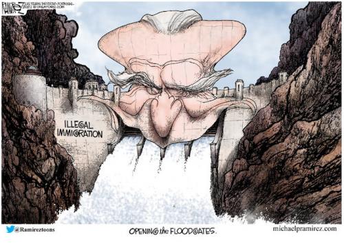 HERE COME THE ILLEGALS