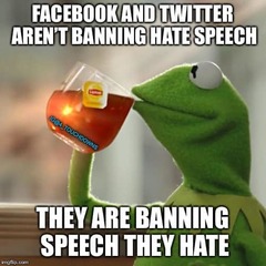 banning speech they don't like