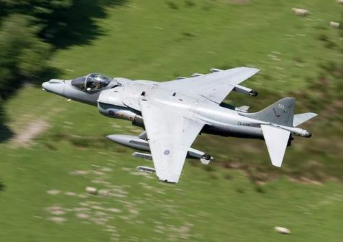 136634304_3650995408319986_9063153674531761409_n