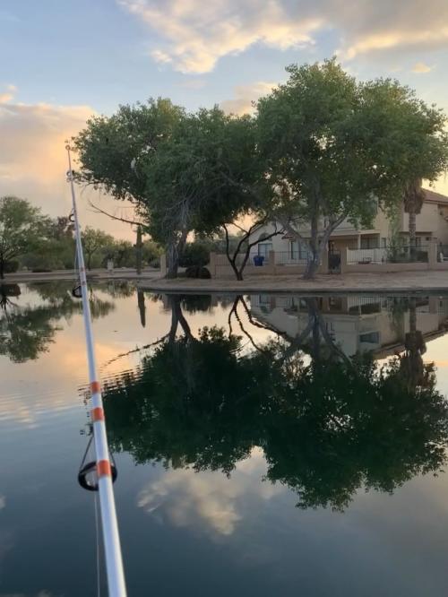 19:31:22 GMT-0700 (MST).image