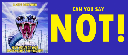 141188559_1359271777766528_3601859458321254841_n