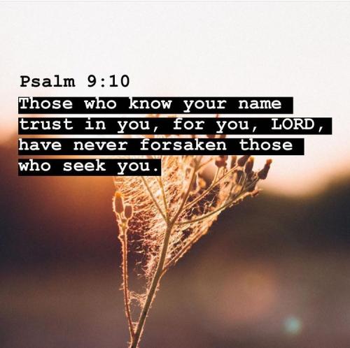 02:09:03 GMT-0500 (EST).image