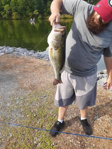 12:22:41 GMT-0500 (EST)