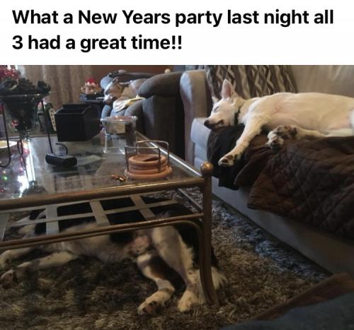 10:57:20 GMT-0500 (EST).image