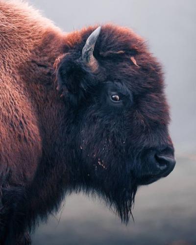 132585599_206124984260997_5321021829414467172_o