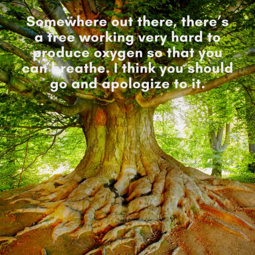 08:22:25 GMT-0500 (EST)