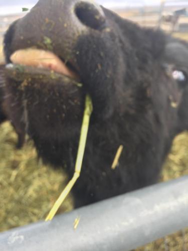 21:09:42 GMT-0800 (PST).image