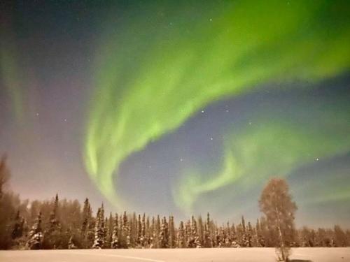 10:21:35 GMT-0600 (CST)