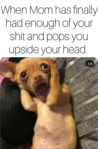 14:25:27 GMT-0500 (EST)