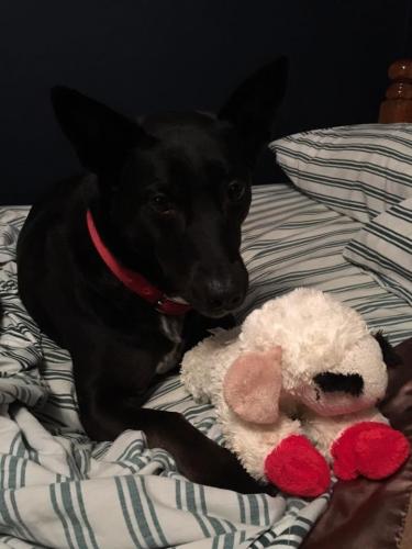 10:15:39 GMT-0600 (CST).image