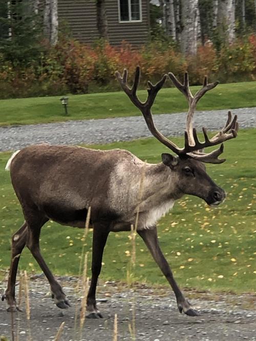 8A985C29-76C3-44EA-BA81-1AF4D6B3C160