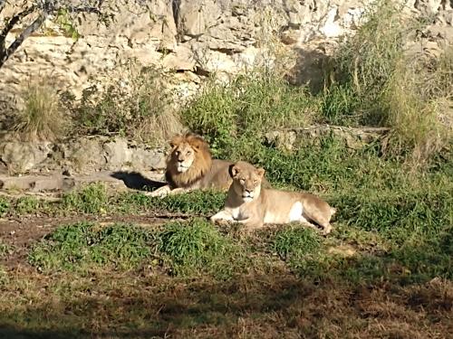 16:30:39 GMT-0600 (CST)