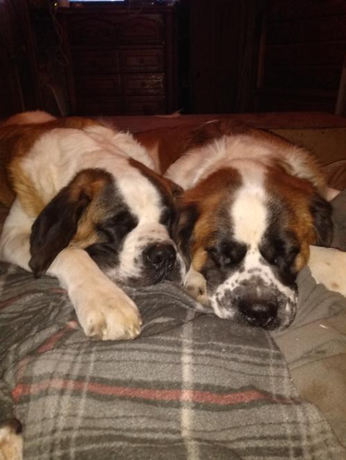 IMG_20201211_183514545