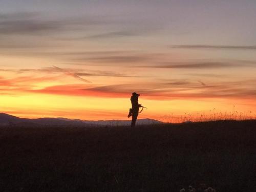 FB8F8AF6-D221-4977-8A73-E7B652BAAA7F