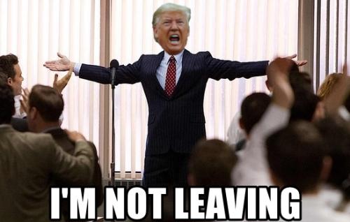 8f4debb57084138bf905dd4cfe27dfc2d972382e209069465eb5373274260cf0