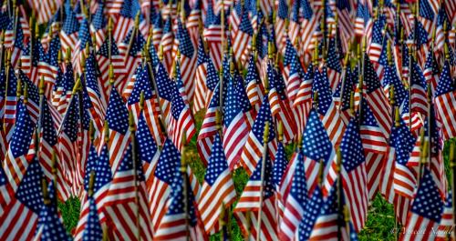 2B42D844-670C-47C0-9503-E9F2EB3CD433