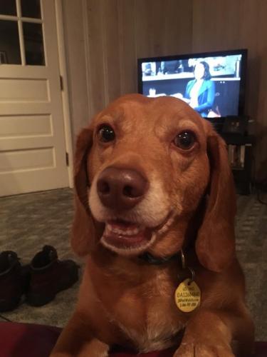 18:53:50 GMT-0600 (CST).image