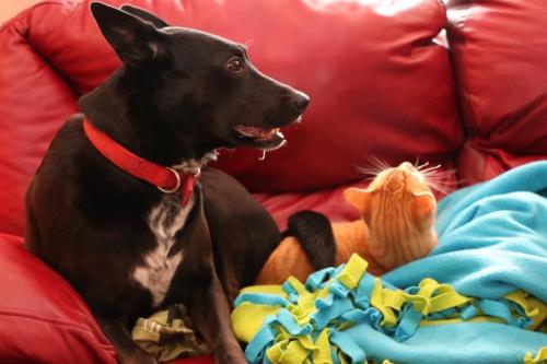 10:02:37 GMT-0600 (CST).image