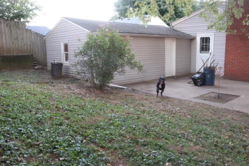 10:06:47 GMT-0600 (CST).image