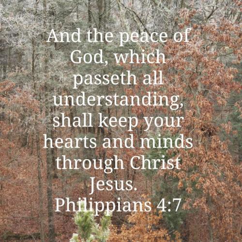 11:19:18 GMT-0500 (EST)