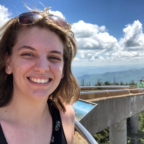 34e0ebf03a0edb0eaafdd972f4f33663