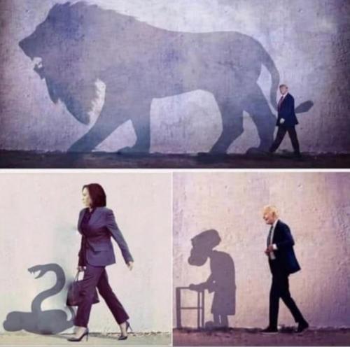 05:18:05 GMT-0600 (CST).image