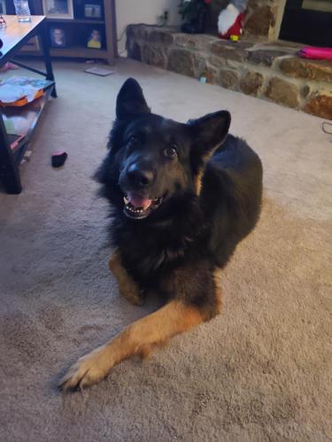 22:30:17 GMT-0600 (CST)