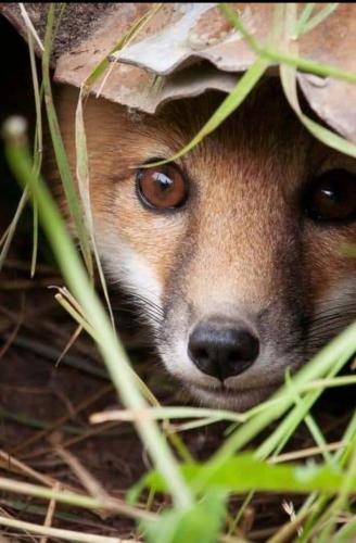 22:47:02 GMT-0600 (CST)