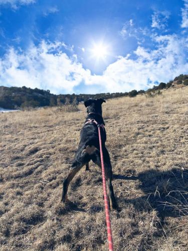 09:39:36 GMT-0700 (MST).image