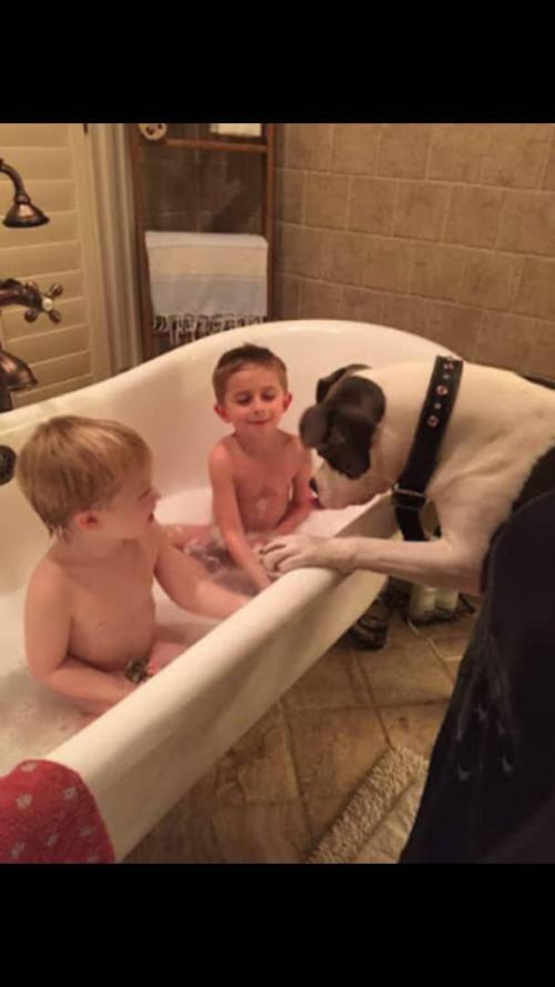 09:56:49 GMT+0100 (WAT).*